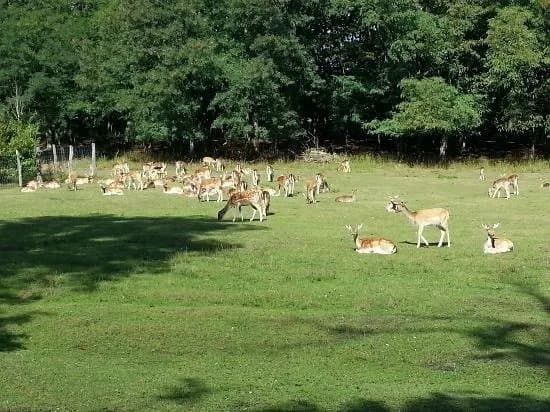 Parks & Nature
