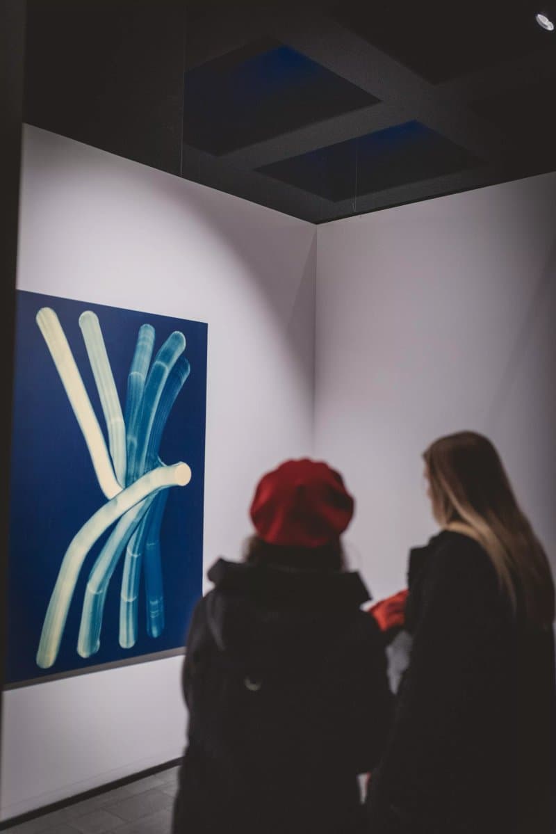 Dot. Contemporary Art Gallery