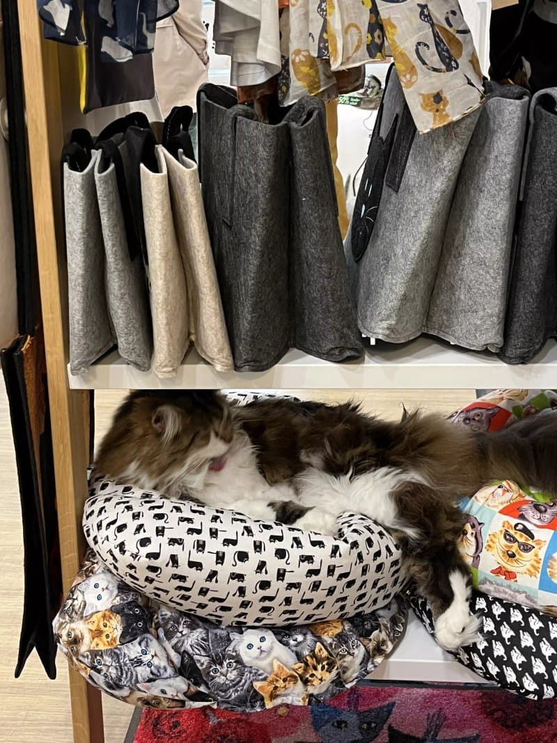 Catlovers