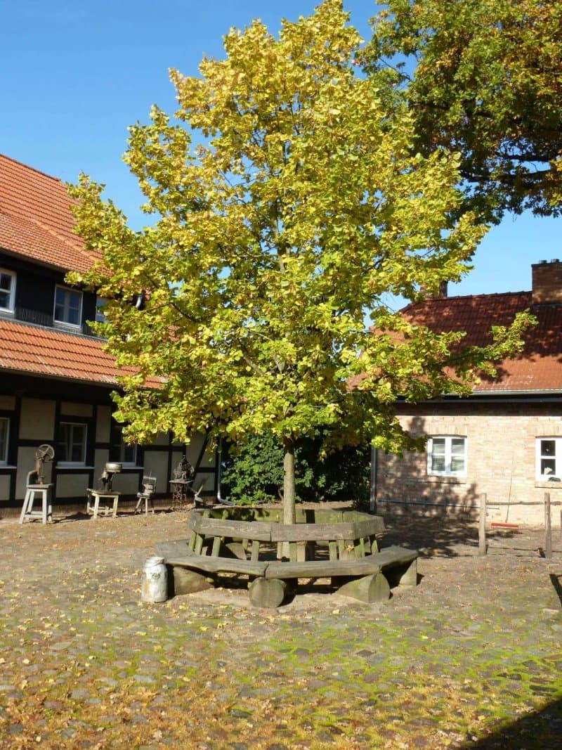 Stolperhof