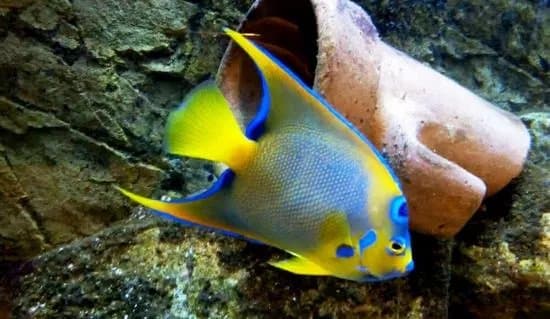 Aquarium de Dunkerque