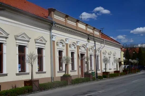 Mestske vlastivedne muzeum