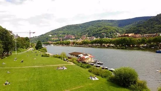 Neckarwiese Heidelberg