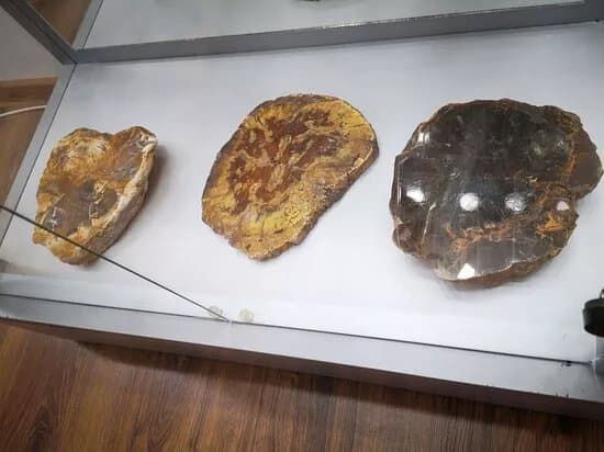 Muzeul Mineral Toda