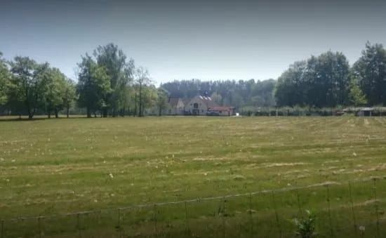 Skepparps Vingard