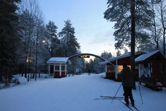 Ormberget