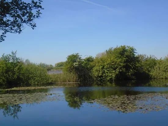 Blankaart Nature Reserve