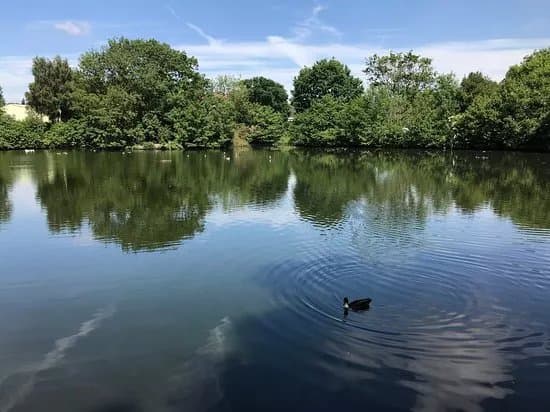 Tudor Grange Park