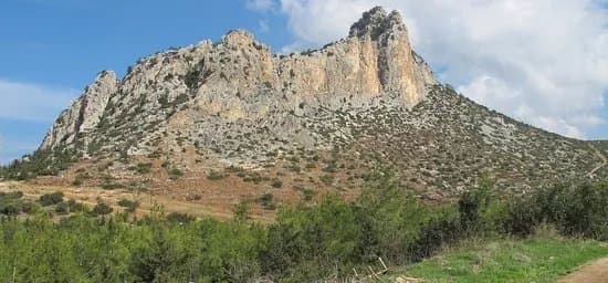 Kyrenia Animal Rescue