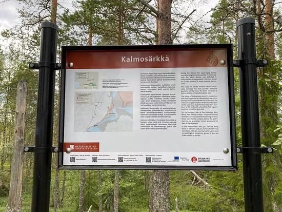 Kalmosarkka