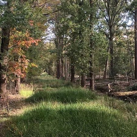 Landschapspark Drongengoed