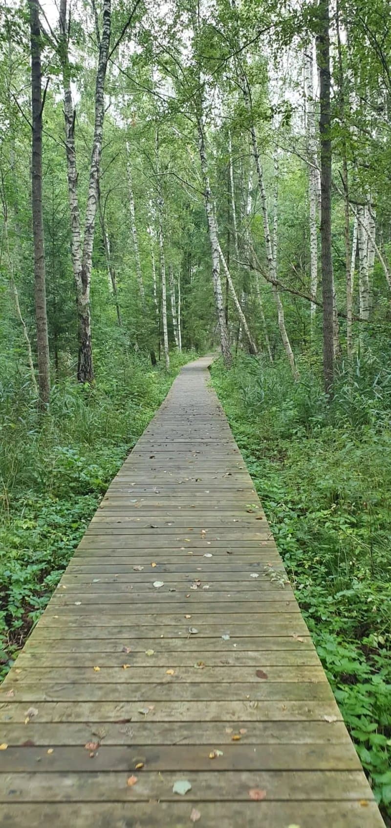 Jaundome Nature Trail