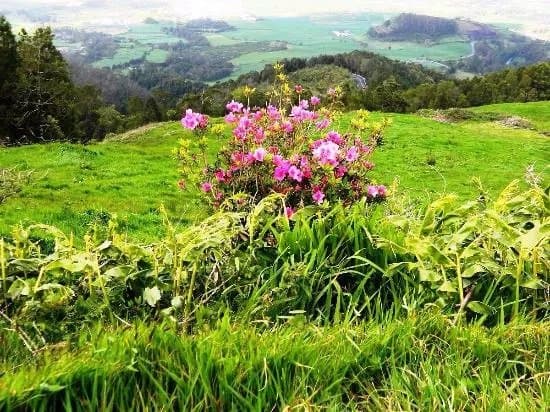 Miradouro da Bela Vista