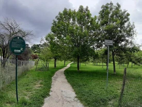 Parco Barone Rampante