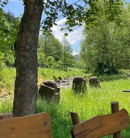 Kinderspielplatz Geising - Wildpark