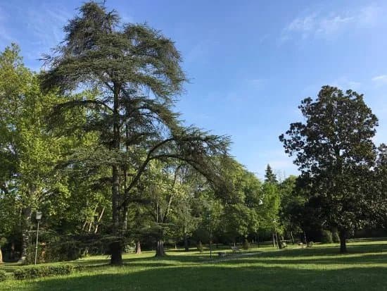 Parks & Nature