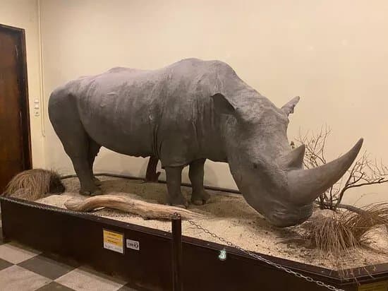National Museum of Natural History, Sofia