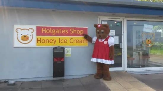 Holgates Ice Cream Shop & Cafe