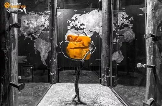 Amber Museum