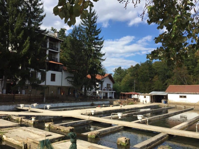 Hotel-Restaurant Ribarnika
