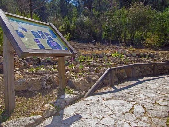 Jardin Botanico El Castillejo