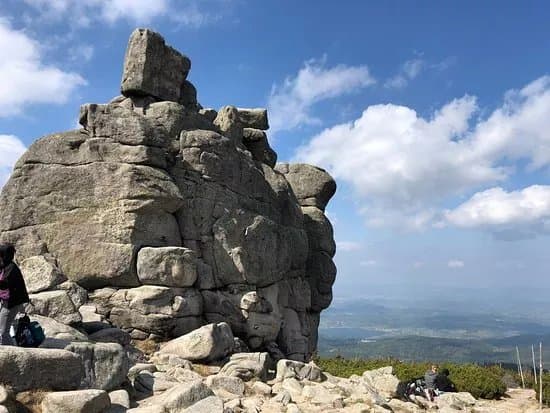 Slonecznik Rock