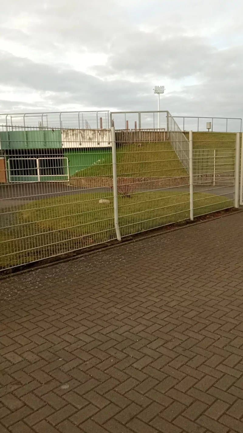 Vfl-stadion Am Elsterweg