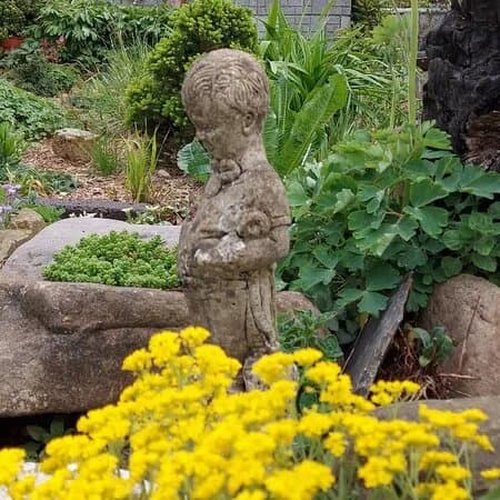 Meadow Gate Garden