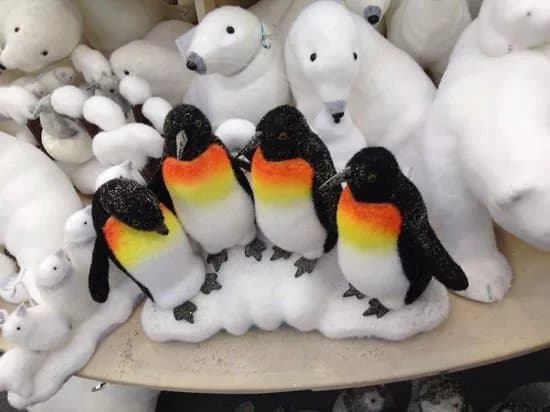 Cadbury Garden Centre