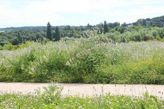 Parc Du Peuple De L'Herbe