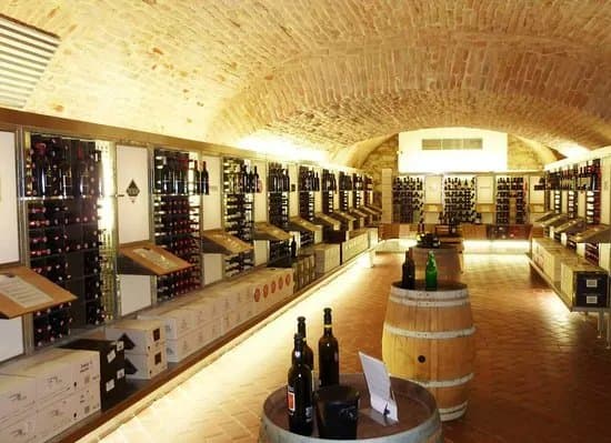 Vinatrium Gebietsvinothek