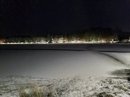 Vangen