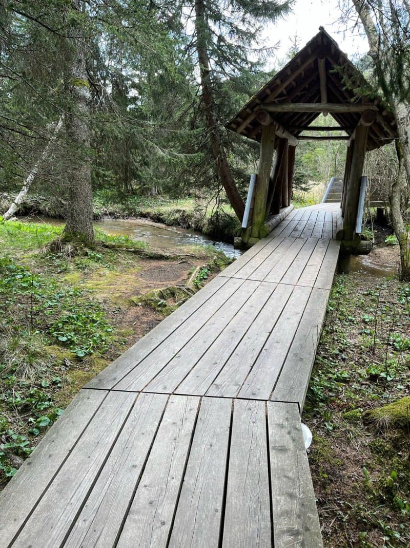 Teichalmmoor