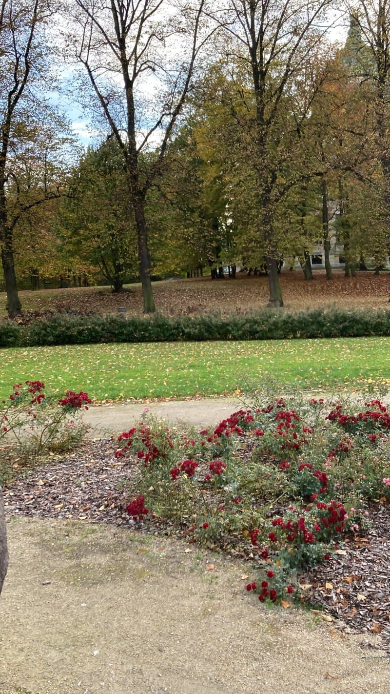 Park Andrzeja Blachanca