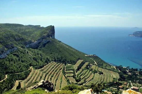 Provence Amazing Tours