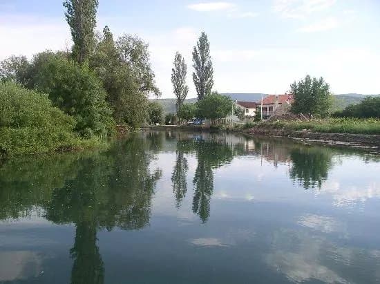 Vrljika
