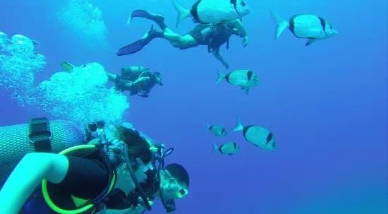 IntoTheBlue Diving Centre