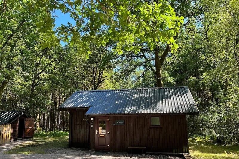 KINGLAS is a charming cabin in a lovely, peaceful location deep in the forest