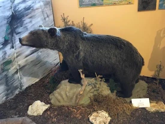 Centro Permanente Della Flora e Della Fauna Alpina