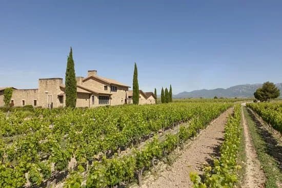 Bodega Murua