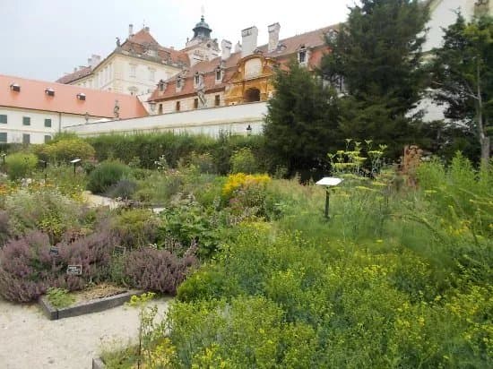 Tiree Chmelar Herb Garden