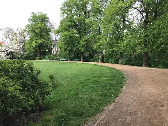 Rosenwiese