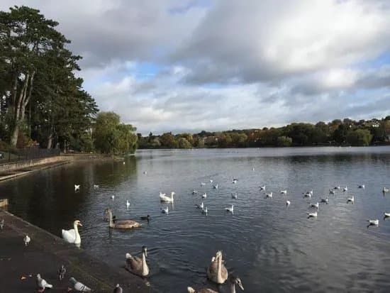 Parks & Nature