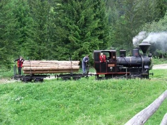 Historical Logging Switchback Railway