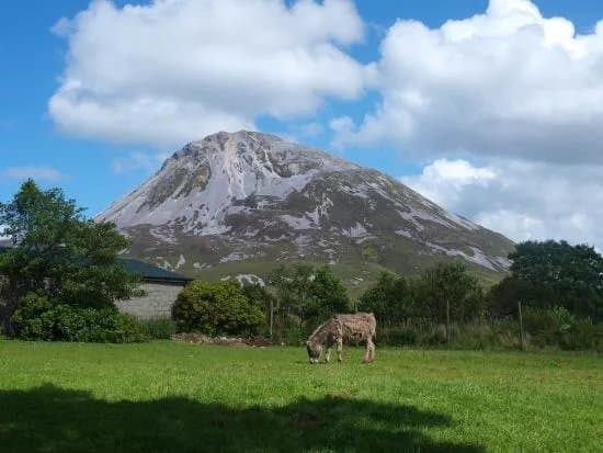 Dunlewey Centre