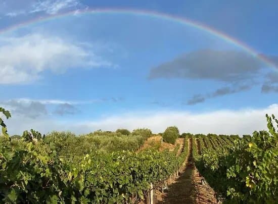 Cantine Balice