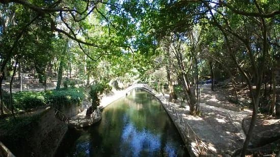 Rodini Park