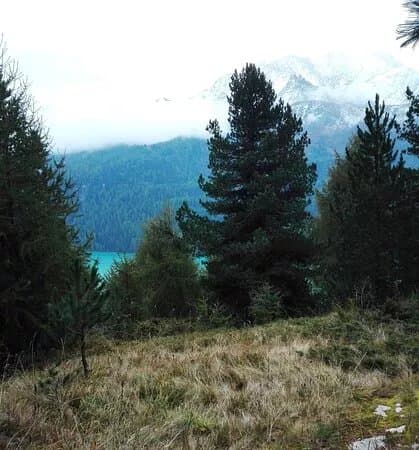 Via Engiadina