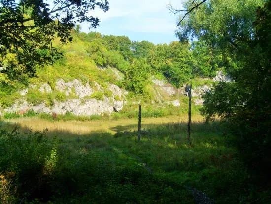 Kalkberg