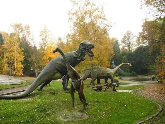 Silesian Zoological Garden